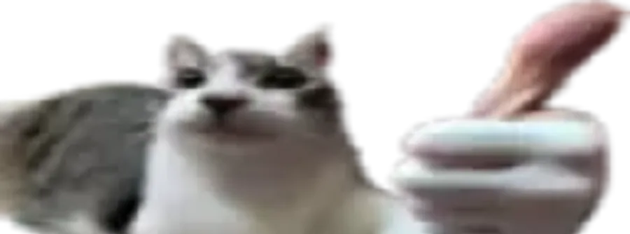 KerbeX